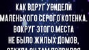 Его выбросили в лесу, а он нашел себе там счастье