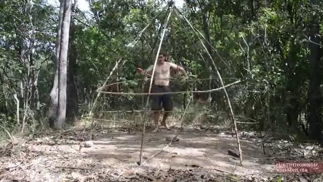 Primitive Technology: Grass hut