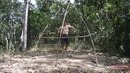 Primitive Technology: Grass hut