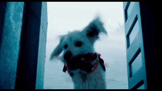 Супермен — “Крипто спасает Супермена” Русский Трейлер (4K, Субтитры, 2025)