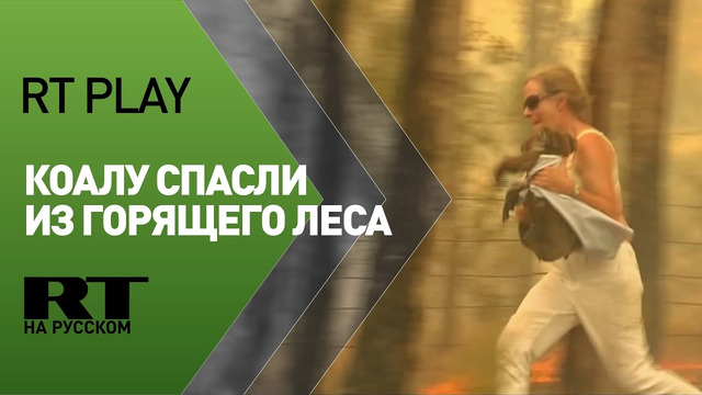 Австралийка вынесла испуганную коалу из горящего леса