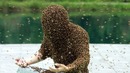 Если вы встретите их – бегите как можно быстрее! ПЧЕЛЫ УБИЙЦЫ
