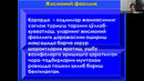 Jismoniy faollik Умарова 4
