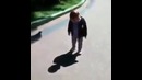 Малыш испугался своей тени