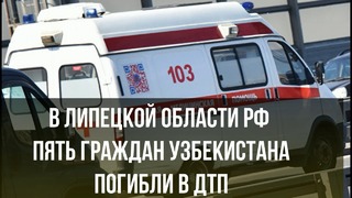 Пятеро узбекистанцев погибли в ДТП под Липецком