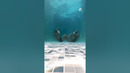 Duo Performs Unique Underwater Workout