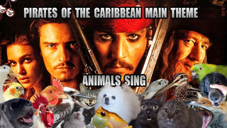 Pirates of Caribbean Theme but it sounds like animals