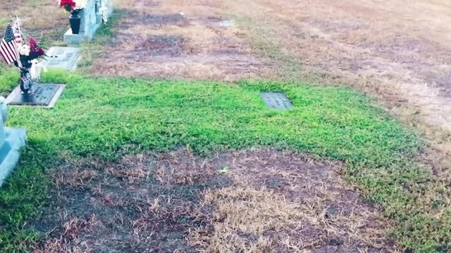 Мать не могла понять, почему трава на могиле ее сына стала зеленой