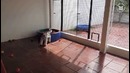 Weekend Dogs Video Compilation 2016