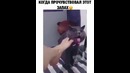 Кот чуть не взблевнул