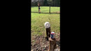 LIKE A BOSS COMPILATION #228