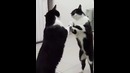 А ты вообще кто такой, и как ты сюда попал