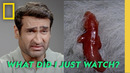 What Did I Just Watch? with Kumail Nanjiani | Hularious | National Geographic