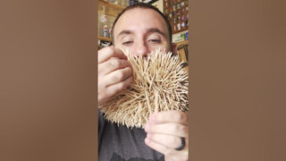 Most toothpicks in a beard – 3,500 by Joel Strasser