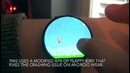 В flappy bird можно поиграть на часах с android wear