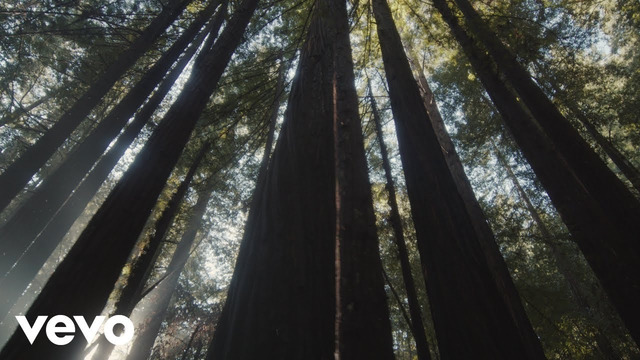 Shallou & Daya – Older (Nomad Visualizer 2020!)