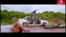 (BugagaTV) Приколы и Фейлы 2016 Декабрь / Wins & Fails December 2016 (Part 2)