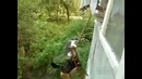 Лифт для кошек из России