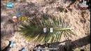 Law of the Jungle in New Caledonia – Episode 3 (222)