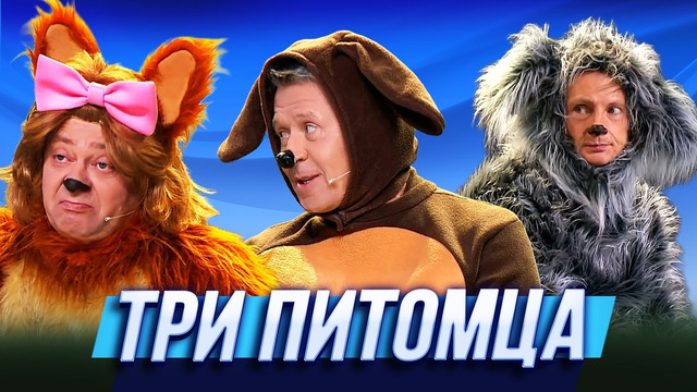 Три питомца — Уральские Пельмени | География Уральских Пельменей – Панама