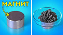 НЕВЕРОЯТНЫЕ ЭКСПЕРИМЕНТЫ, КОТОРЫЕ СТОИТ ПОПРОБОВАТЬ