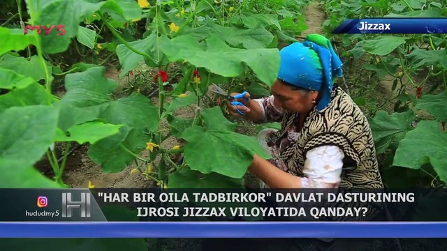 Har bir oila tadbirkor” davlat dasturining ijrosi Jizzax viloyatida qanday