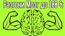 Как включить мозг на 100 ПРОЦЕНТОВ Как стать умным, эффективным и вырастить нейроны