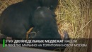 Неожиданная находка в коробке