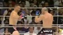 Mirco CroCop