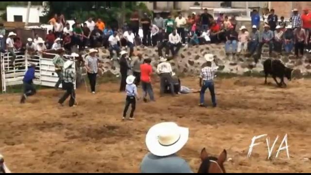 FVA – Fails of the Week 1-7th Sept