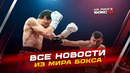 НОВОСТИ БОКСА: победа ИГЛЕСИАСА; как провел бой АГРБА; какие бои будут на выходных