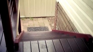 Dog walks up stairs 4 legs at the same time
