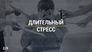 О чем сигнализирует шум в ушах (Это надо знать)