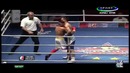 Бокс. Uzbek Tigers vs Cuba Domadores – WSB – Все бои (20.05.2017)