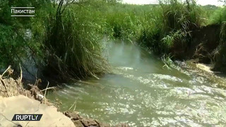 В Нигерии и Пакистане наводнение уничтожило урожай. Людей ждёт голод