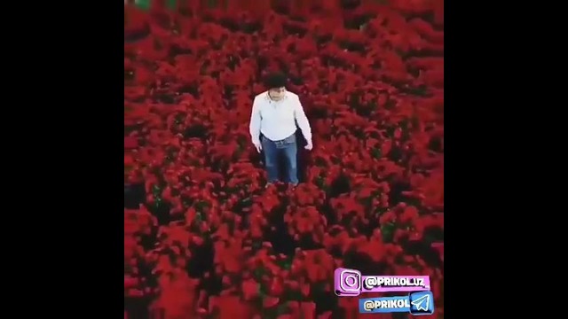 Шуни хиёнат дейдиларми