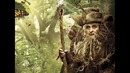 История героев трилогии «Хоббит» №8 – Радагаст Бурый