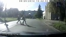Наглый попутчик