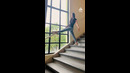 Contortionist Performs Split Gymnastics On Stairs | People Are Awesome #shorts