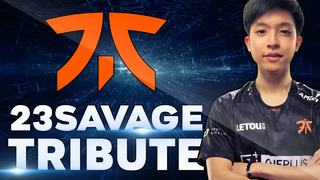 23savage out of Team Fnatic – BEST Plays Tribute Dota 2