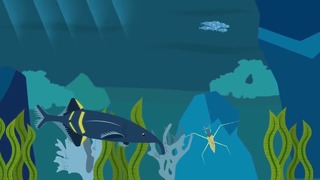 Edu – Как рыбы производят электричество