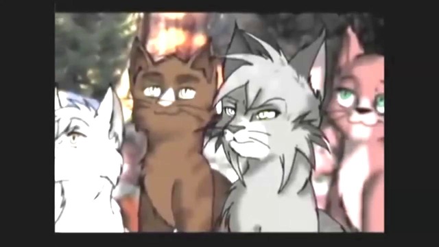 Трейлер- Коты-Воители