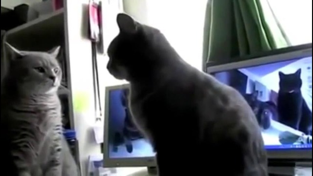 Лаадушки ладушки