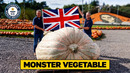 Have YOU Ever Seen Vegetables This Big? | Guinness World Records