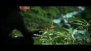 Sami Yusuf – Wherever You Are (HD)