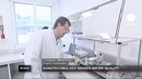 Чип для чистоты