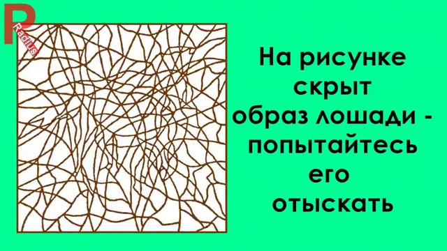 6 детских головоломок, которые не решить взрослым