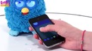 Полный обзор Furby / Ферби