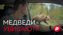 Репортаж из Сибири, где медведи массово нападают на людей
