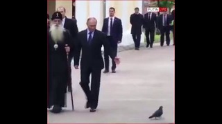 Путин и майор голубь